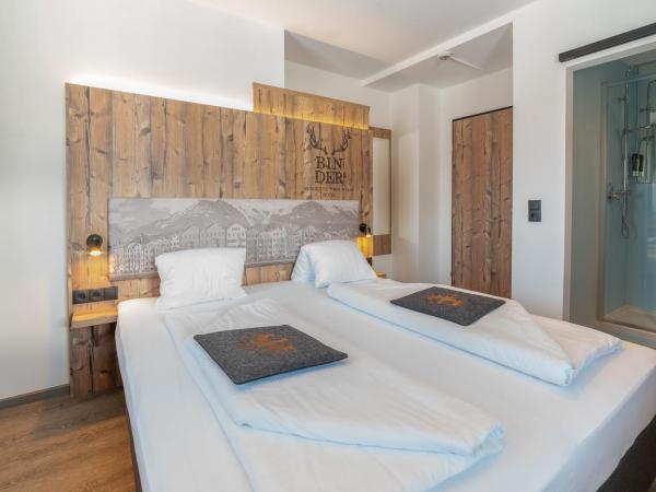 BinderS Budget City-Mountain Hotel : photo 6 de la chambre chambre double affaires