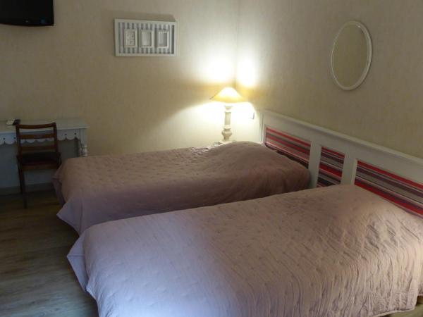 Hôtel Le Palma : photo 1 de la chambre chambre lits jumeaux