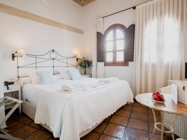 Palacio De Los Navas : photo 1 de la chambre chambre double ou lits jumeaux supérieure