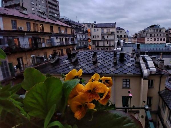 Attic Hostel Torino : photo 7 de la chambre lit dans dortoir mixte de 4 lits