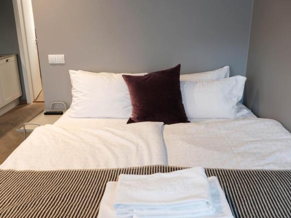 Saga Studios by Heimaleiga : photo 6 de la chambre studio sous-sol