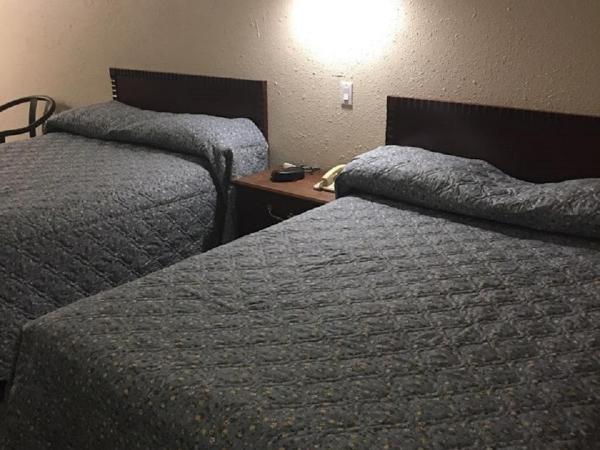 Red Deer Inn & Suites : photo 1 de la chambre suite deluxe