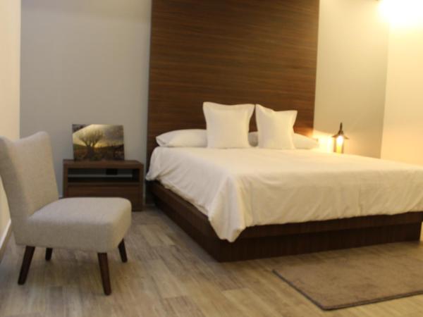 Hotel Diana : photo 1 de la chambre chambre lit king-size deluxe