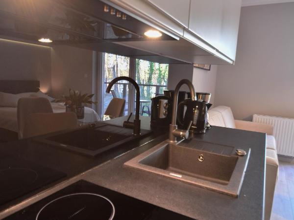 Apartamenty Cesarskie - Apartamenty Bryza - Parking : photo 10 de la chambre studio