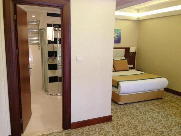 Asrin Business Hotel Kızılay : photo 4 de la chambre suite affaires