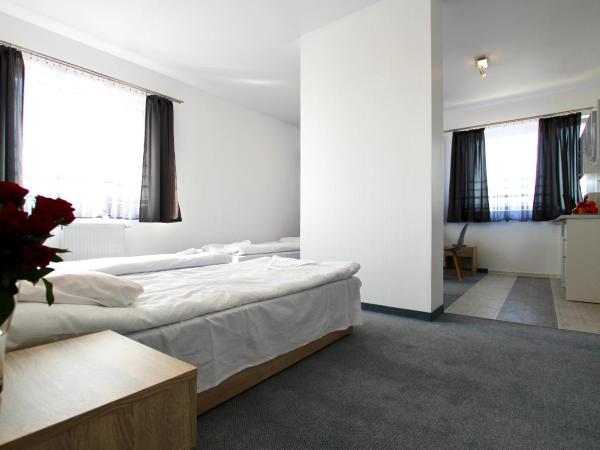 Apartamenty Południowa : photo 4 de la chambre studio