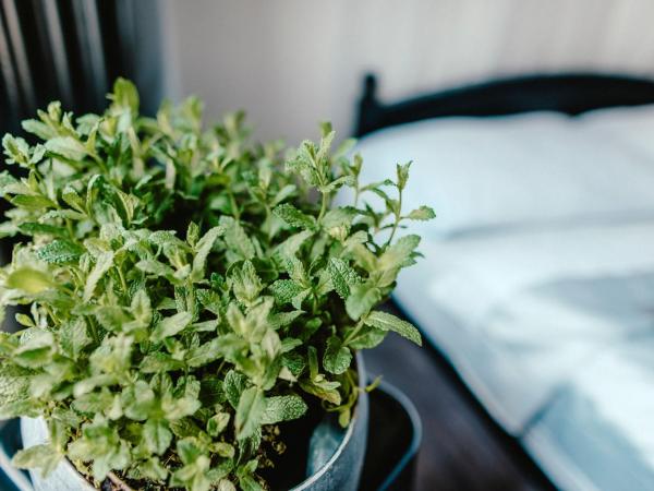 Wake Up Wellness Hostel : photo 10 de la chambre chambre double avec balcon