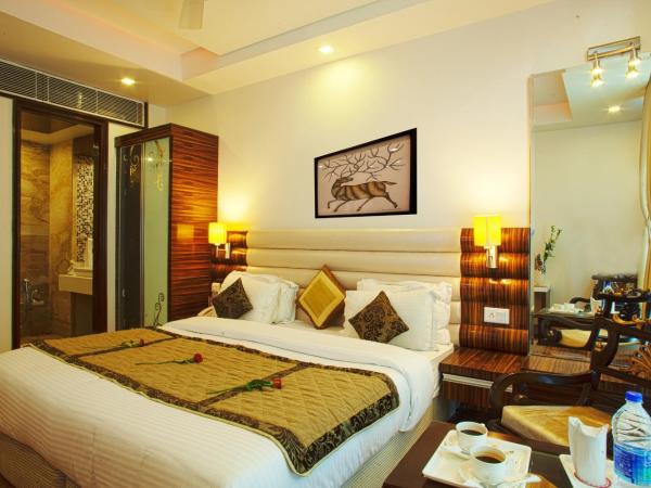 HOTEL DELHI 55 @ NEW DELHI RAILWAY STATION : photo 4 de la chambre chambre super deluxe avec navette depuis l'aéroport
