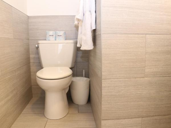 Charming & Stylish Studio on Beacon Hill #8 : photo 2 de la chambre studio