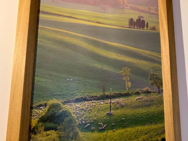 Domus Plaza : photo 7 de la chambre chambre double deluxe - vue sur ville