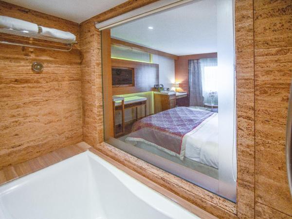 Hotel Bawa International : photo 4 de la chambre chambre double ou lits jumeaux super deluxe