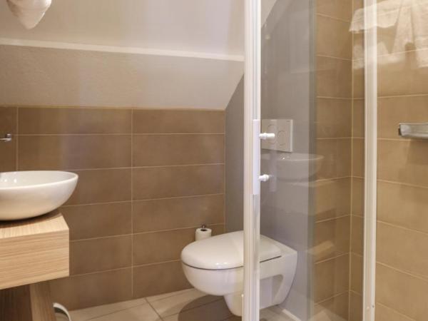 Hôtel Le Blason : photo 1 de la chambre chambre quadruple