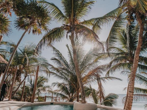 Papaya Playa Project : photo 1 de la chambre maison palma