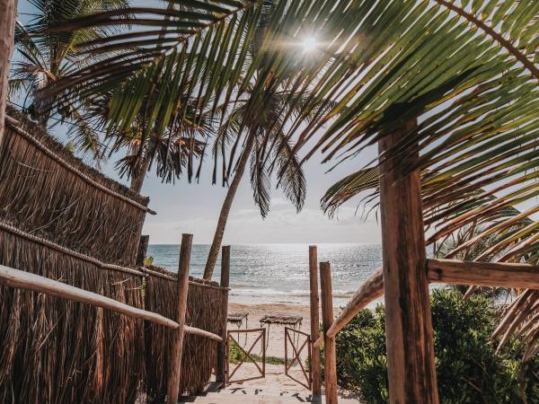 Papaya Playa Project : photo 10 de la chambre maison coco