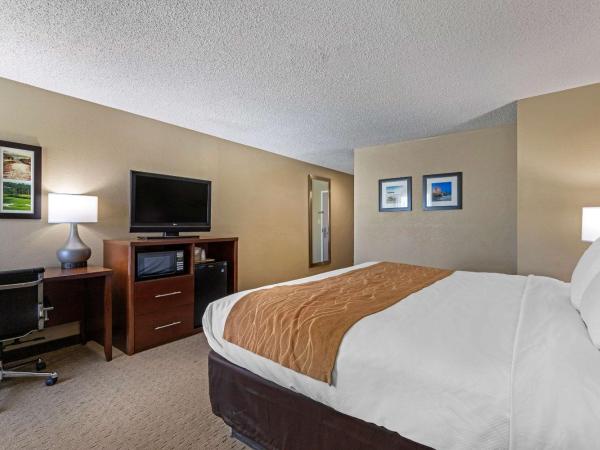 Comfort Inn N Myrtle Beach Barefoot Landing : photo 10 de la chambre chambre lit king-size - non-fumeurs