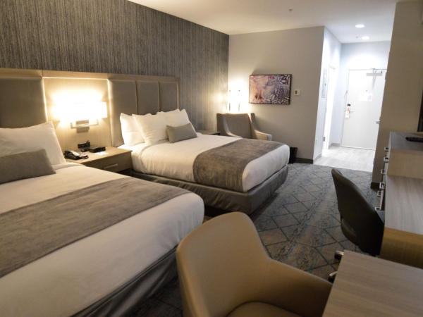 Best Western Plus Executive Residency Oklahoma City I-35 : photo 5 de la chambre chambre avec 2 lits queen-size et kitchenette