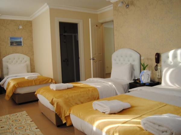 Lotus Hotel : photo 8 de la chambre chambre quadruple standard