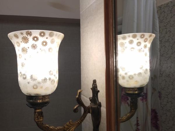 Hotel Jai Niwas : photo 8 de la chambre chambre double super deluxe