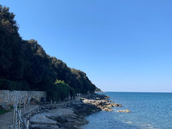 Sea breeze studio : photo 1 de la chambre chambre lit queen-size