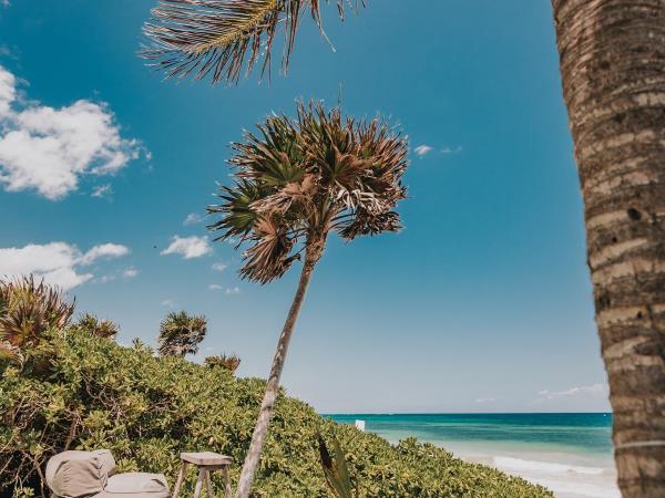 Papaya Playa Project : photo 8 de la chambre maison viento