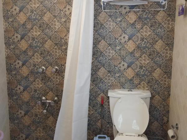 Hotel Jai Niwas : photo 6 de la chambre chambre double super deluxe