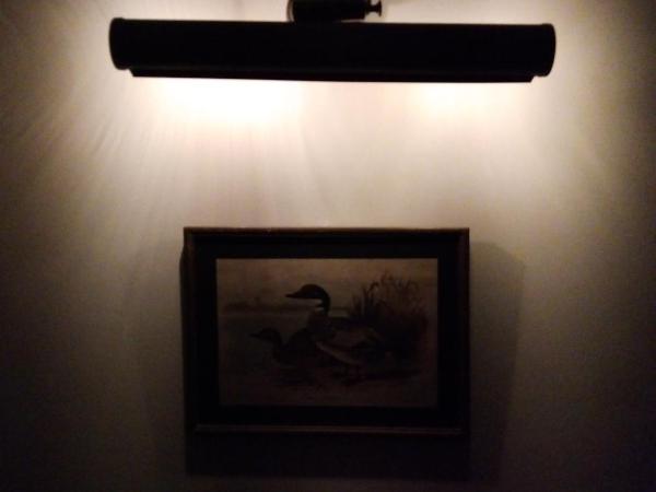 Hotel Jai Niwas : photo 9 de la chambre chambre deluxe