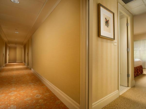 Mayflower Park Hotel : photo 4 de la chambre chambre lit queen-size