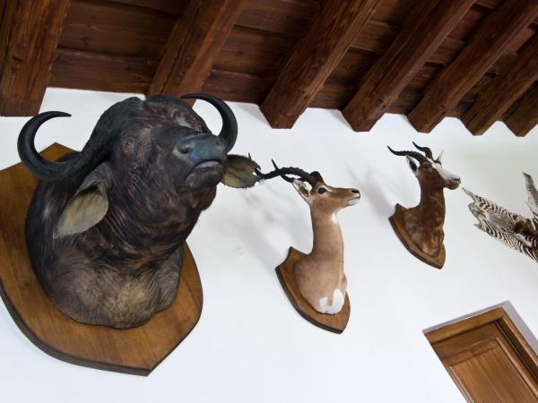 Zamek Zabreh : photo 8 de la chambre appartement exécutif