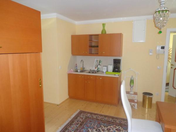 Hans Mauracher Schlössl : photo 4 de la chambre appartement 1 chambre avec balcon