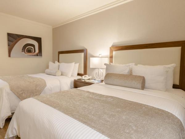 Antaris Cintermex : photo 6 de la chambre luxor double