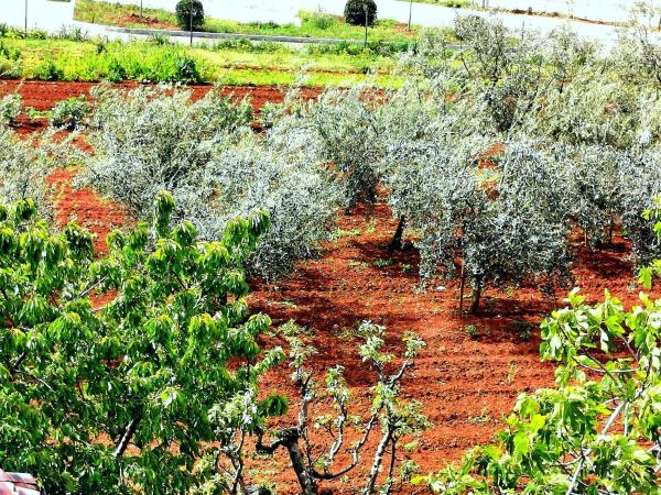 Villa Lamanova : photo 1 de la chambre chambre double deluxe avec balcon
