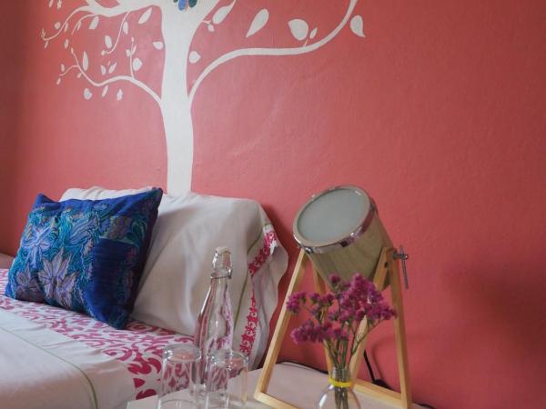 Azul Cielo Hostel : photo 3 de la chambre chambre deluxe avec 2 lits doubles