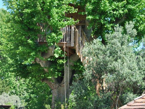 Les Volets Bleus Provence : photo 1 de la chambre chalet