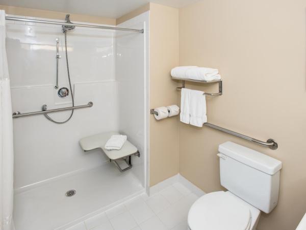 Best Western Plus Winnipeg Airport Hotel : photo 4 de la chambre chambre lit queen-size - accessible aux personnes à mobilité réduite