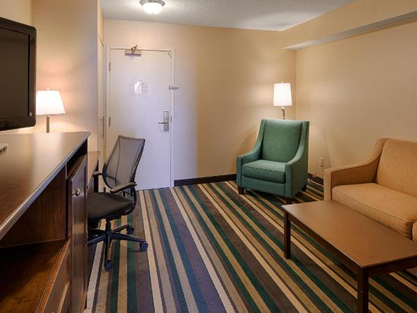Best Western Plus Winnipeg Airport Hotel : photo 3 de la chambre suite lit king-size