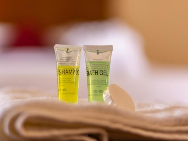 Hotel Snow Peak : photo 8 de la chambre chambre double deluxe