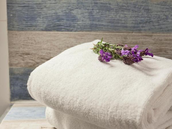 Le Neptune & Spa : photo 2 de la chambre chambre double - vue sur rue