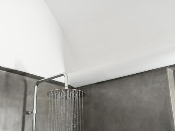 Elitoz Suites : photo 5 de la chambre suite premier avec bain à remous