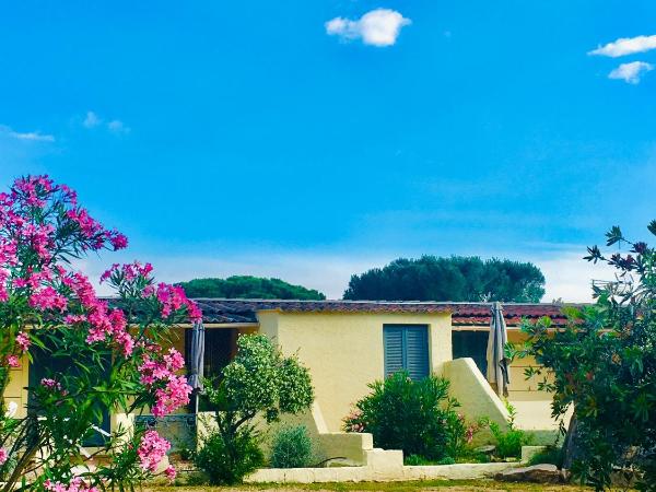 Bungalows Filippi : photo 8 de la chambre appartement avec terrasse