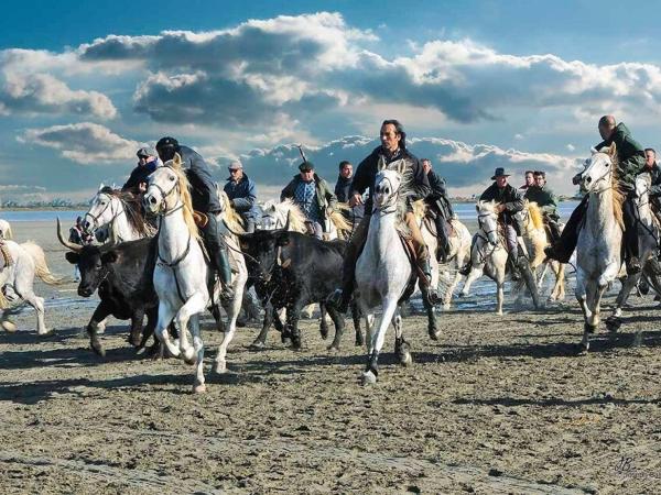 Hôtel Le Neptune en Camargue : photo 6 de la chambre chambre double avec salle de bains privative