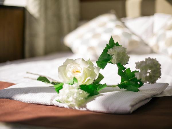 Tabata Oji Hotel : photo 4 de la chambre chambre triple