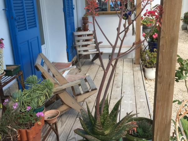 Hôtel Lido Beach : photo 8 de la chambre chambre double - vue sur jardin