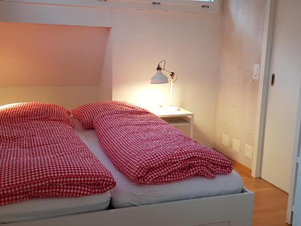 Adventure Hostel Interlaken : photo 1 de la chambre studio - vue sur montagne