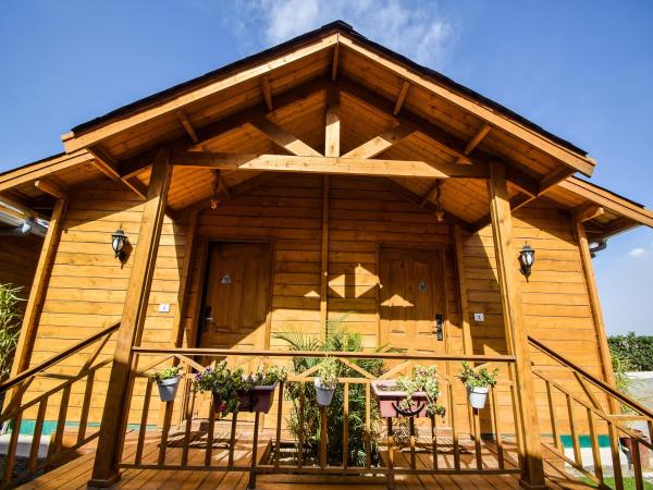 Bamboo Saa Resort & Spa - Udaipur : photo 8 de la chambre swiss chalet