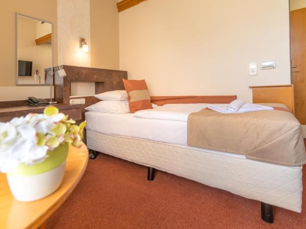 Hotel Spa Hévíz : photo 1 de la chambre chambre simple classique avec vue sur le lac