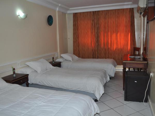 HOTEL SALIM : photo 1 de la chambre chambre triple - vue sur ville