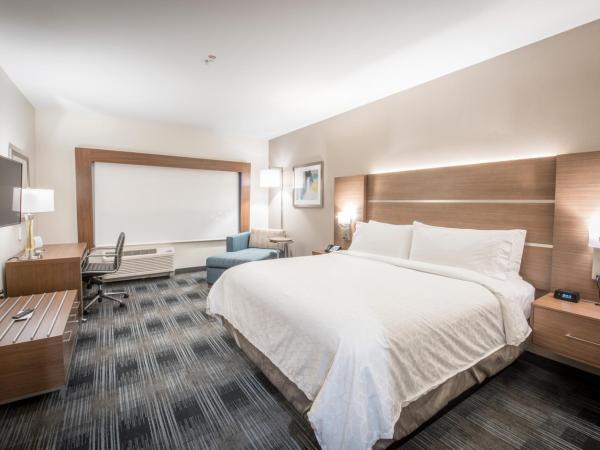 Holiday Inn Express & Suites - Houston Westchase - Westheimer, an IHG Hotel : photo 2 de la chambre chambre lit king-size pour personnes à mobilité réduite avec douche accessible en fauteuil roulant - non-fumeurs