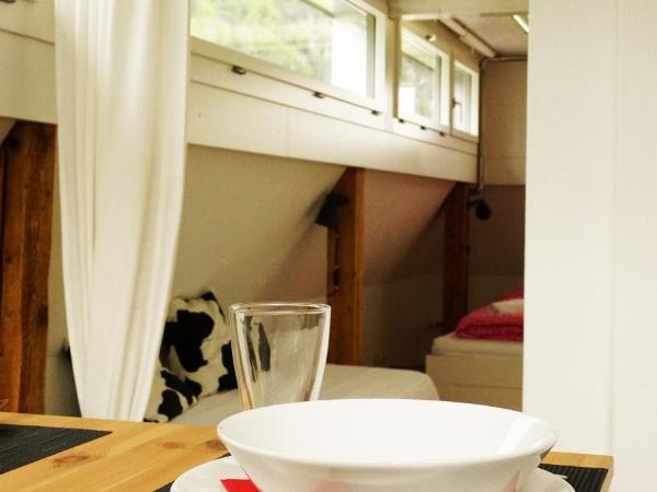 Adventure Hostel Interlaken : photo 3 de la chambre studio - vue sur montagne