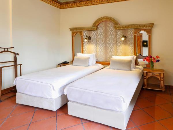 Sultanahmet Palace Hotel : photo 6 de la chambre chambre double ou lits jumeaux