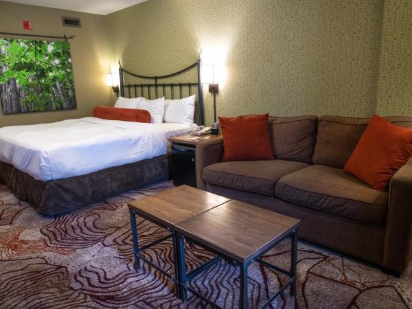 Banff Caribou Lodge and Spa : photo 8 de la chambre chambre lit king-size supérieure